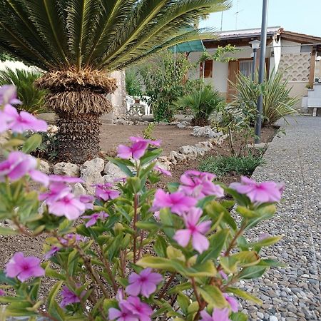 טורה דל'אורסו Il Giardino Di Sofia Charm And Comfort Apartment מראה חיצוני תמונה