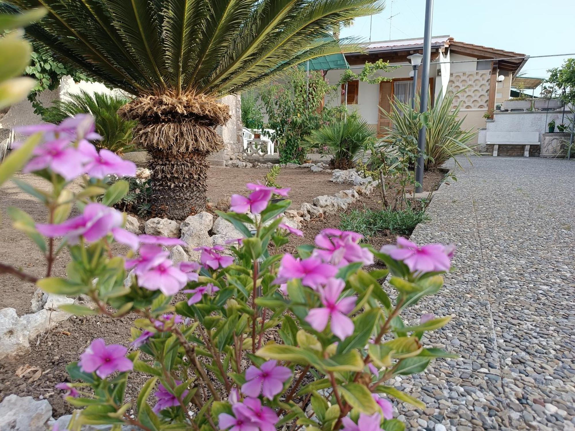 טורה דל'אורסו Il Giardino Di Sofia Charm And Comfort Apartment מראה חיצוני תמונה