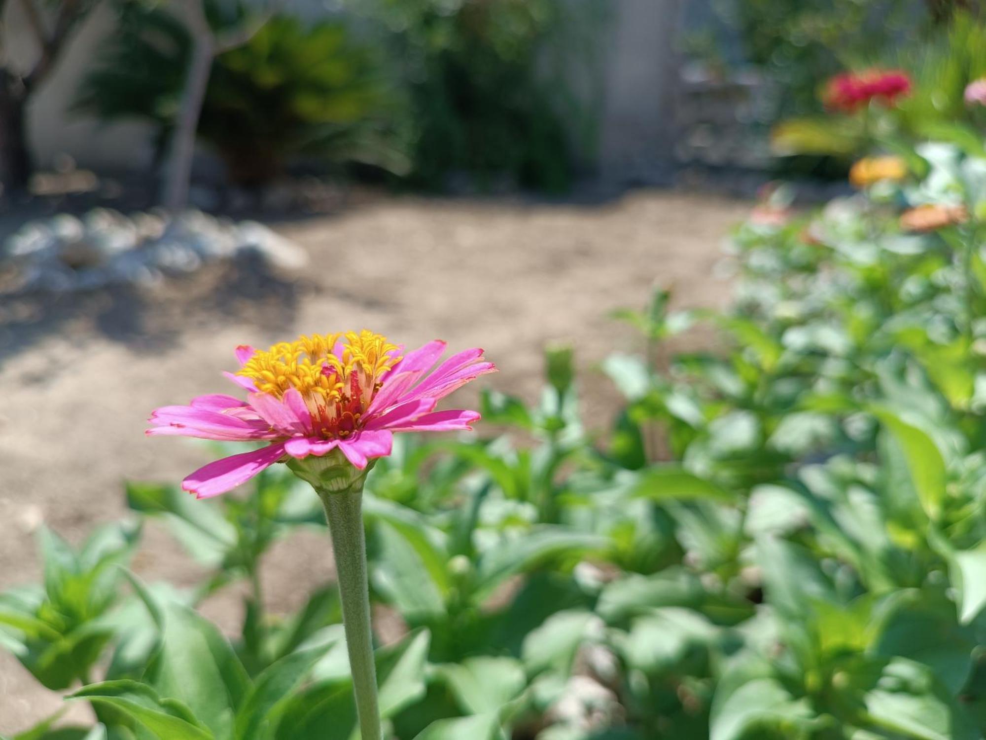 טורה דל'אורסו Il Giardino Di Sofia Charm And Comfort Apartment מראה חיצוני תמונה